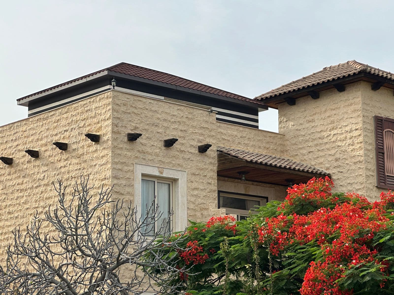 Taif Resorts - Medium Suite